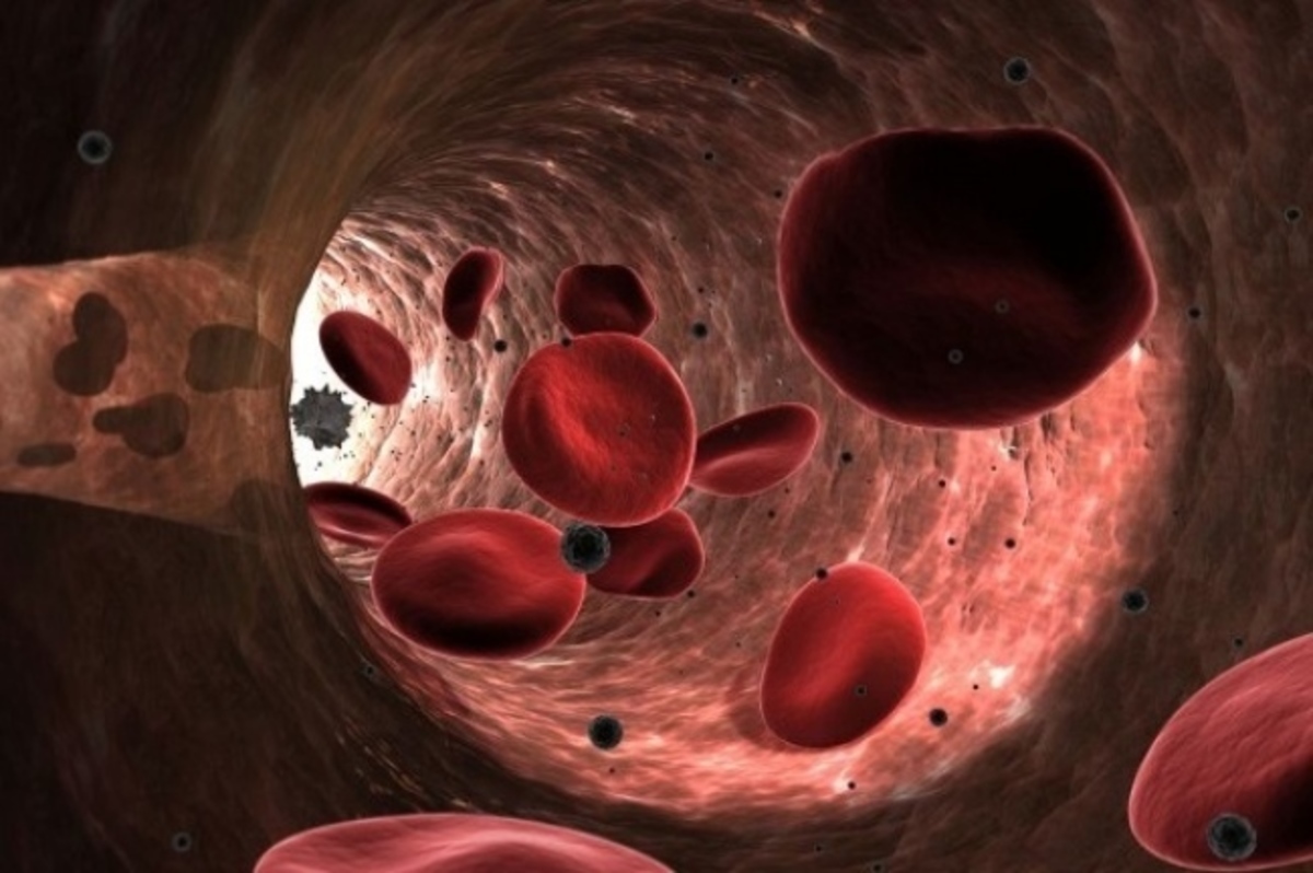 Αιματοκρίτης: Οι φυσιολογικές τιμές ανά ηλικία – Τα «ναι» και τα «όχι» της διατροφής