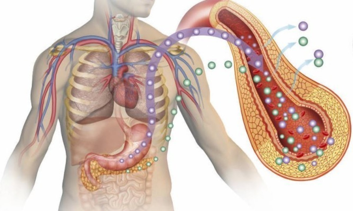 Διαβήτης: Τεράστιο άλμα στην ρύθμιση της ινσουλίνης με «τεχνητά στομάχια»