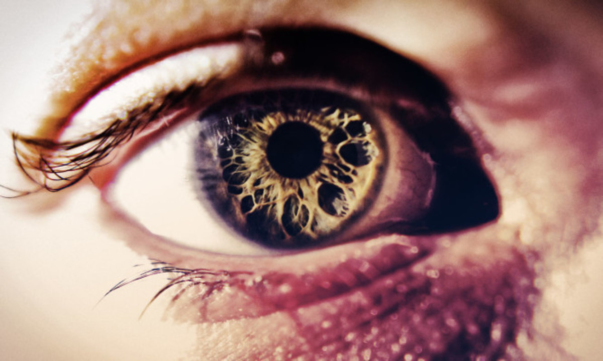 Γεγονός ο πρώτος «μίνι» αμφιβληστροειδής εργαστηρίου