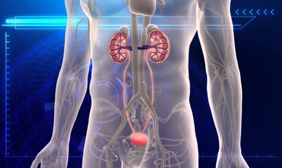 Ουρολοίμωξη: Όλα τα συμπτώματα και πώς θα φύγει ο πόνος