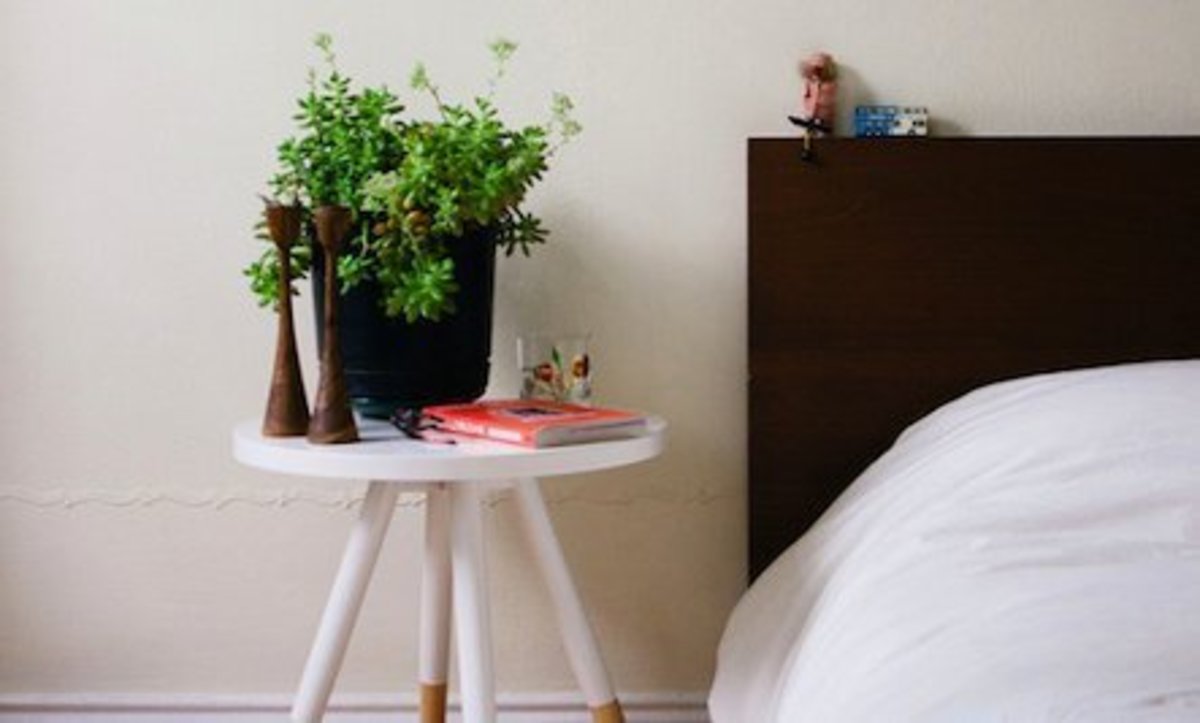 Με αυτά τα φυτά στο δωμάτιο θα κοιμηθείτε σαν… πουλάκια