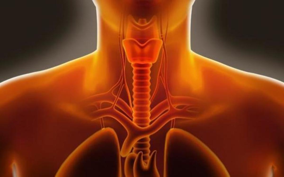 Λόξιγκας: Πώς να τον σταματήσετε στο λεπτό