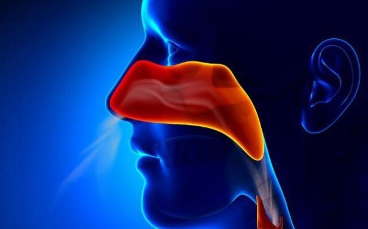 Δείτε γιατί συχνά έχετε βουλωμένη μύτη όταν κάνει πολύ ζέστη
