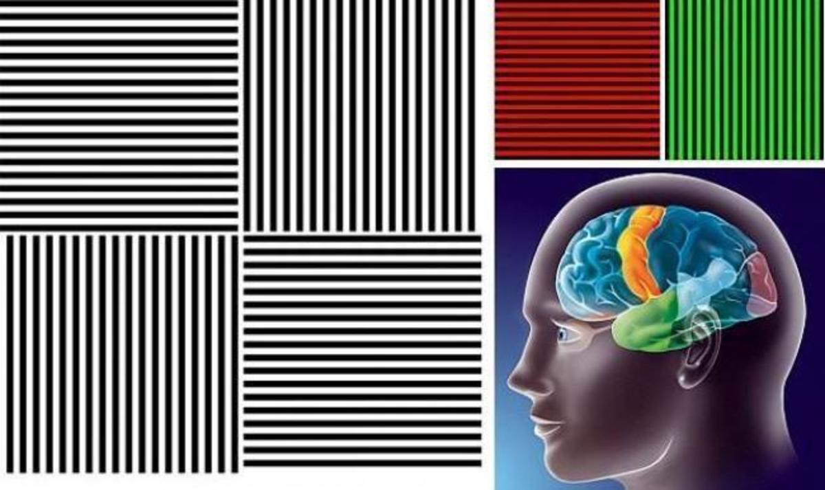 Με αυτή την οφθαλμαπάτη θα βλέπετε το μαύρο και το άσπρο ως πράσινο και κόκκινο!