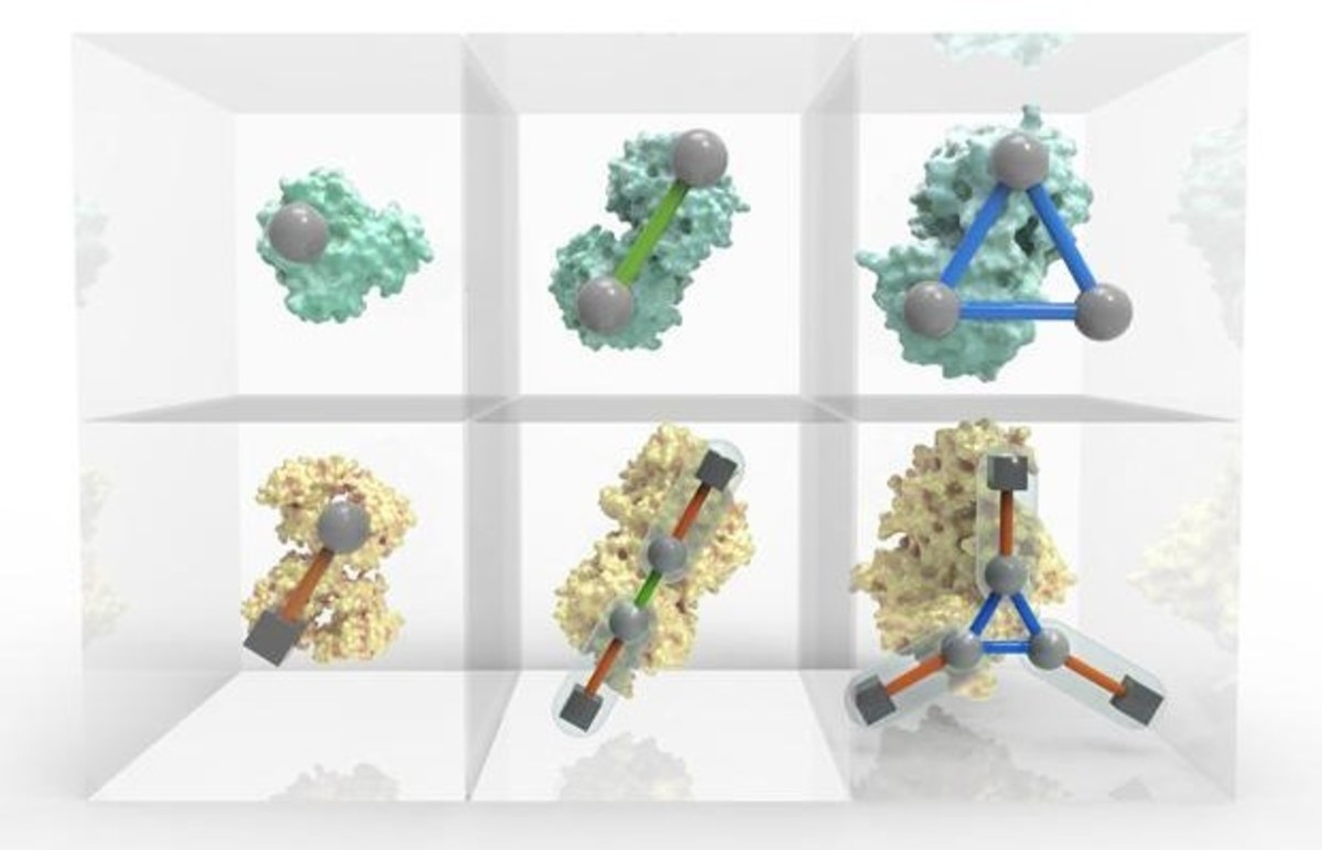 Κάντε κλικ και δείτε τον Περιοδικό Πίνακα των… πρωτεϊνών!