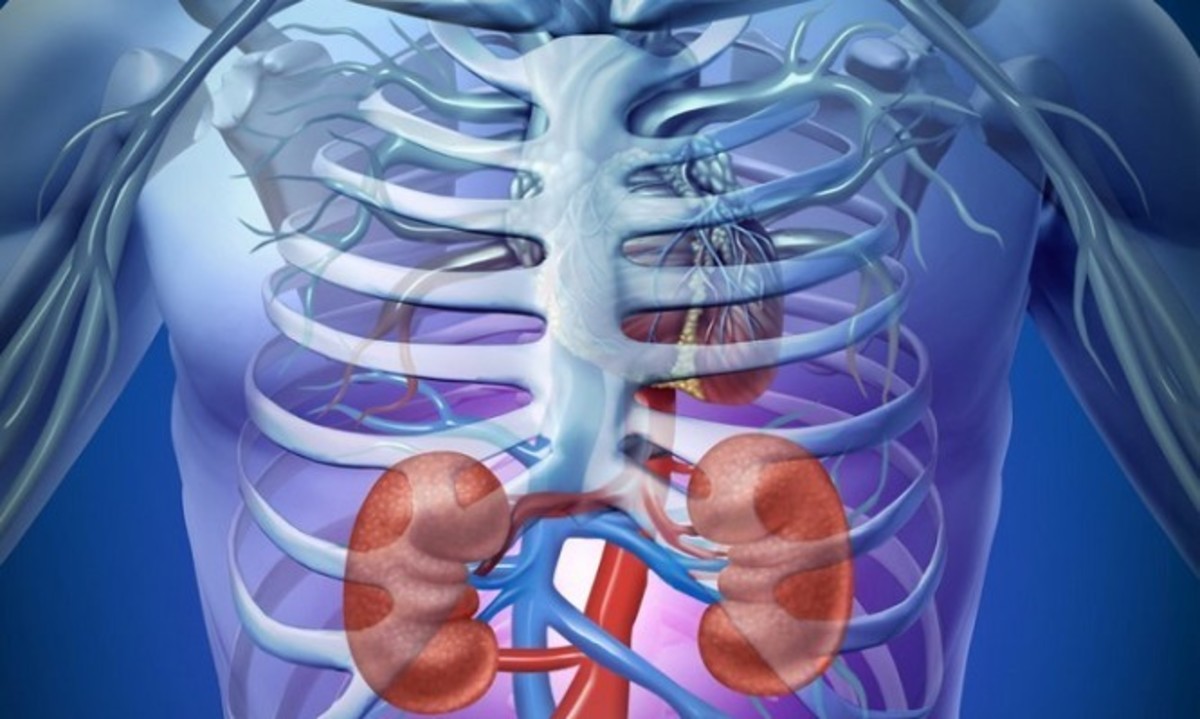 SOS: Τα σημάδια που δείχνουν νεφρική ανεπάρκεια