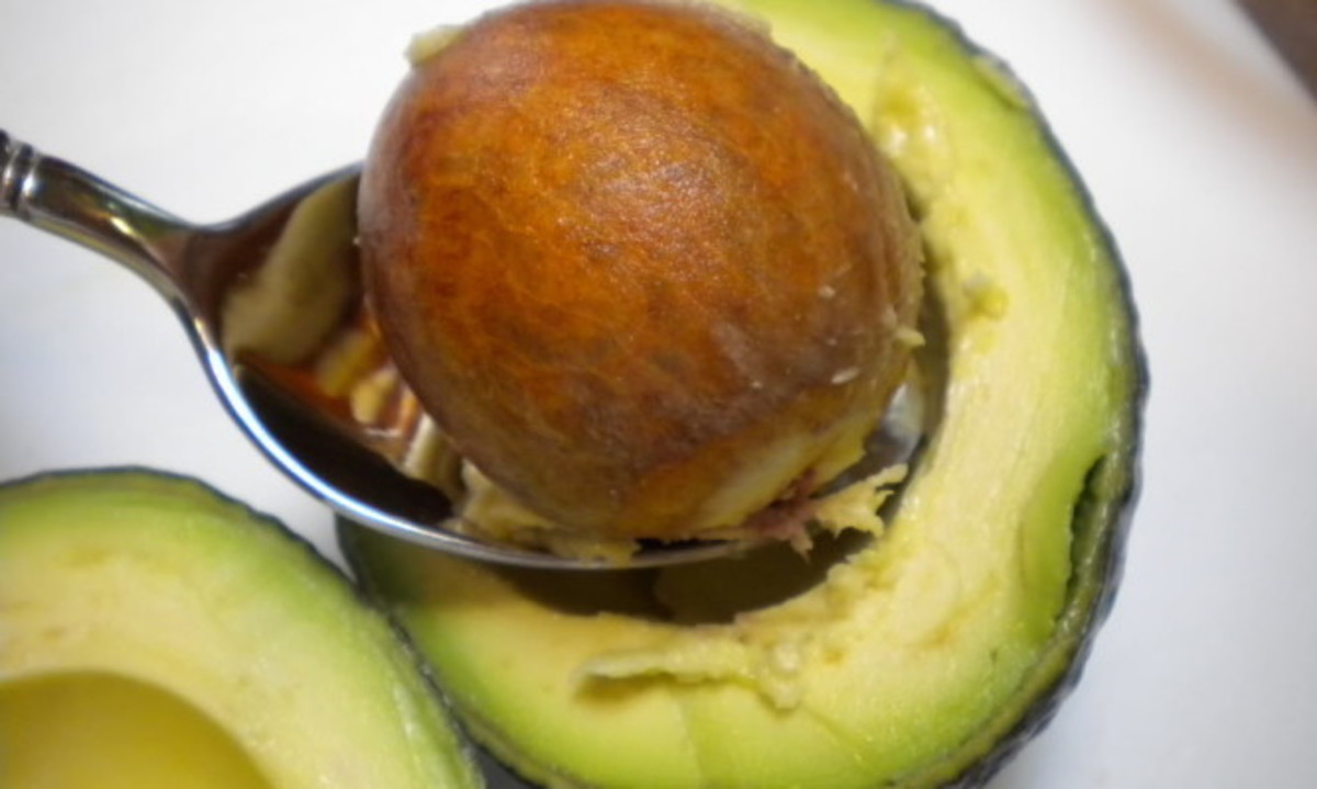 Γιατί να ΜΗΝ πετάτε το κουκούτσι του αβοκάντο – Δείτε τι κάνει! (ΒΙΝΤΕΟ)