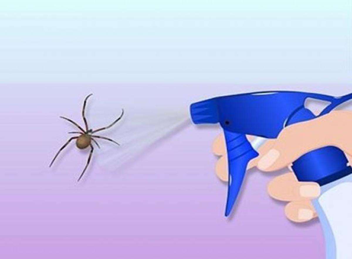 Έτσι θα απαλλαγείτε από κάθε είδους έντομα στο σπίτι χωρίς χημικές ουσίες