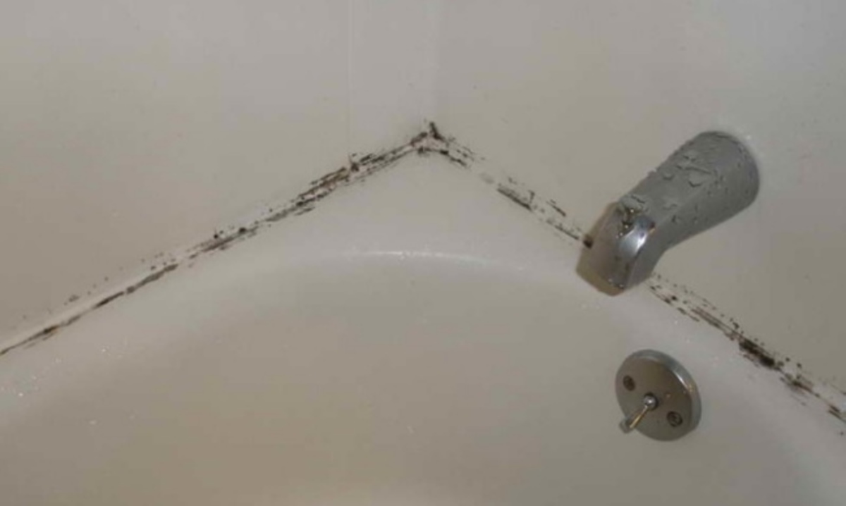 Έτσι θα βγάλετε την μούχλα από κάθε δύσκολο σημείο στο σπίτι