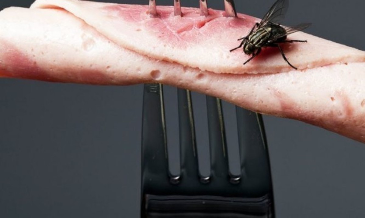 Πώς θα κρατήσετε τις μύγες μακριά από το πασχαλινό τραπέζι