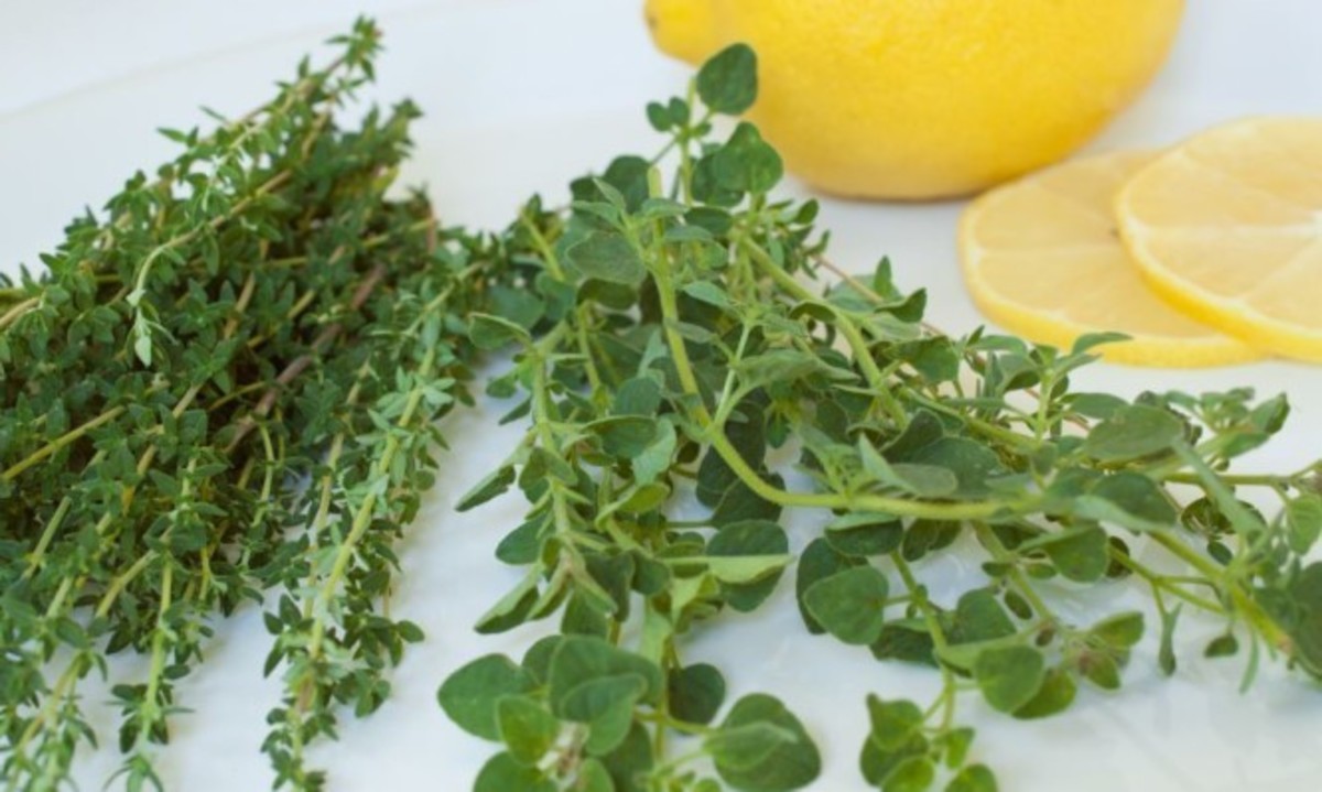 Το ταπεινό μυρωδικό που προστατεύει από υπέρταση και καρκίνο του παχέος εντέρου