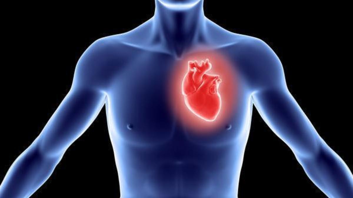 Βραδυκαρδία: Πώς θα την καταλάβετε και πότε πρέπει να πάτε στον γιατρό