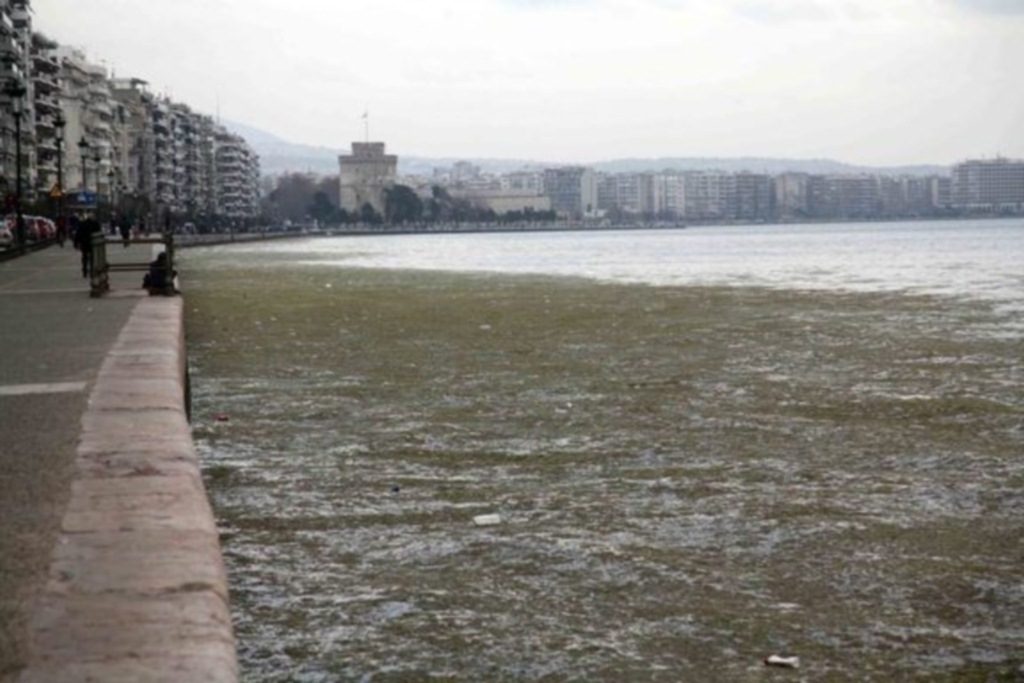 Σε εξέλιξη ο καθαρισμός του Θερμαϊκού παρά τις αντίξοες καιρικές συνθήκες