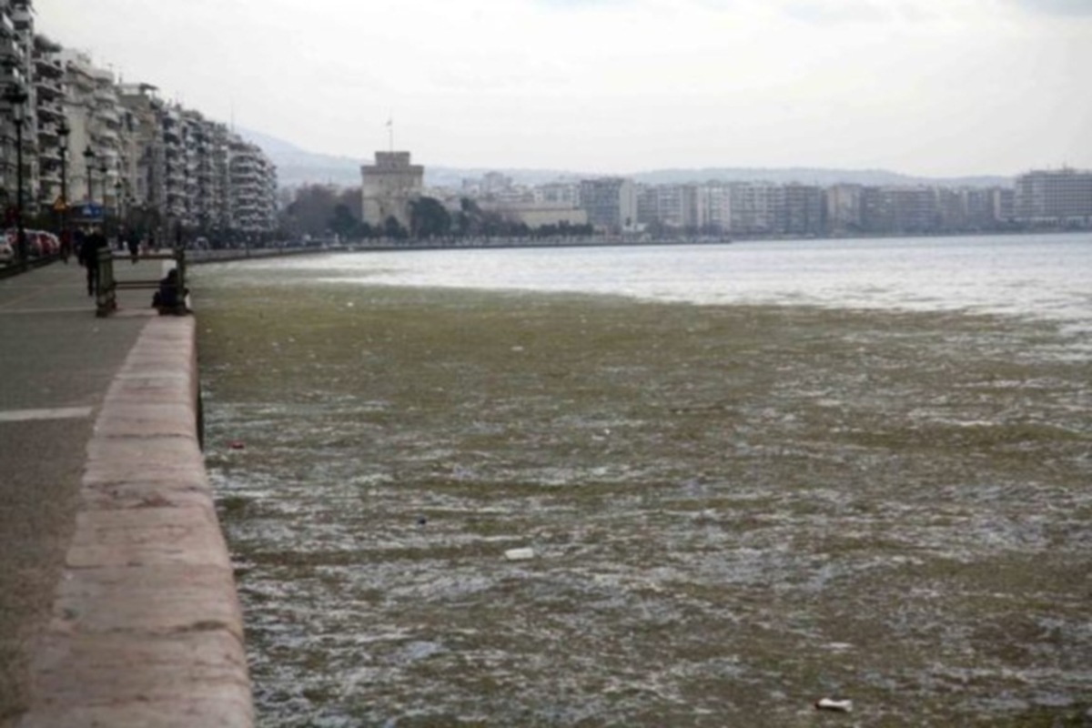 Σε εξέλιξη ο καθαρισμός του Θερμαϊκού παρά τις αντίξοες καιρικές συνθήκες