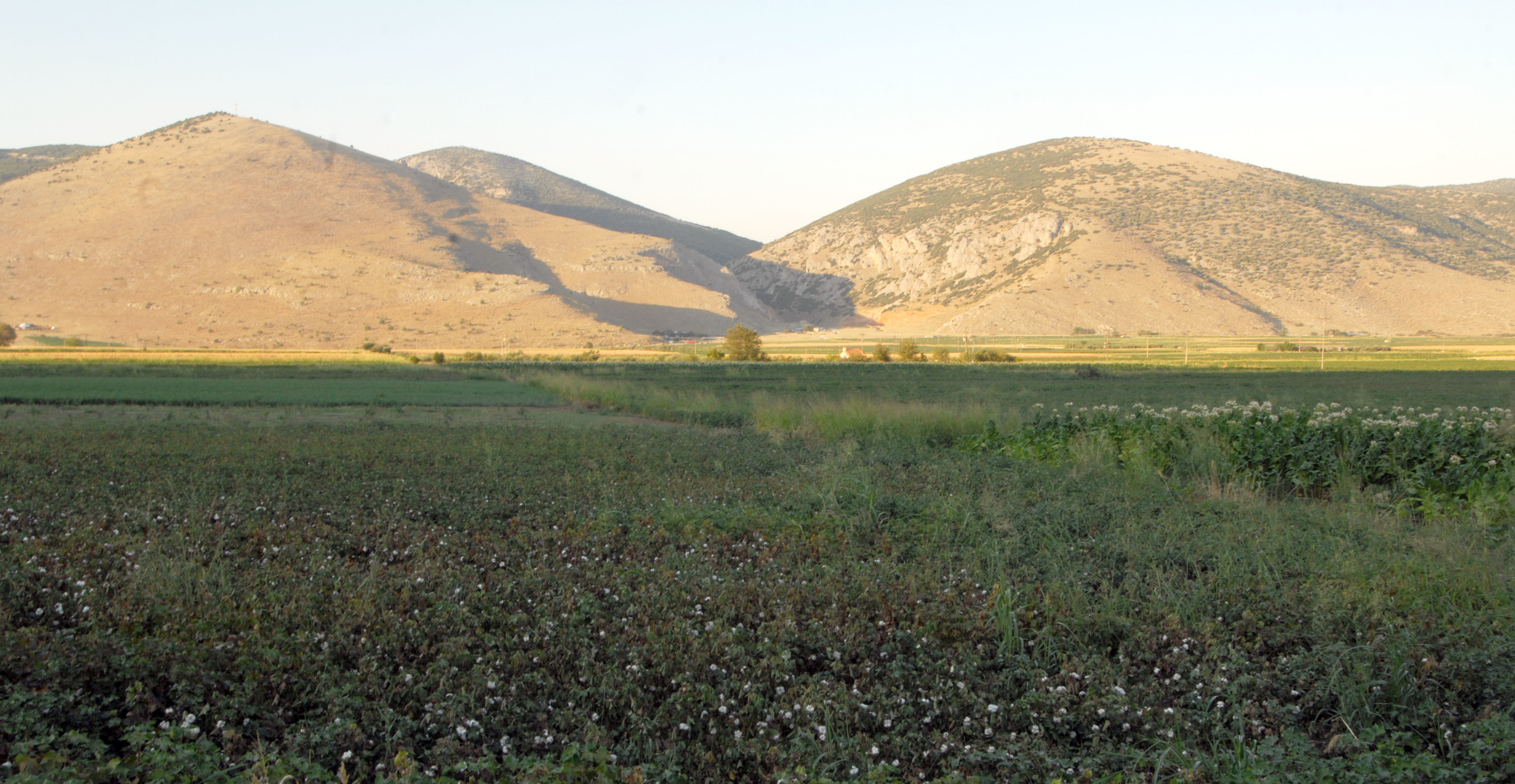 ΦΩΤΟ ΑΡΧΕΙΟΥ EUROKINISSI
