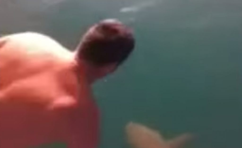 Τουλάχιστον θαρραλέος! Τον προκάλεσαν και βούτηξε δίπλα σε καρχαρία! (ΒΙΝΤΕΟ)