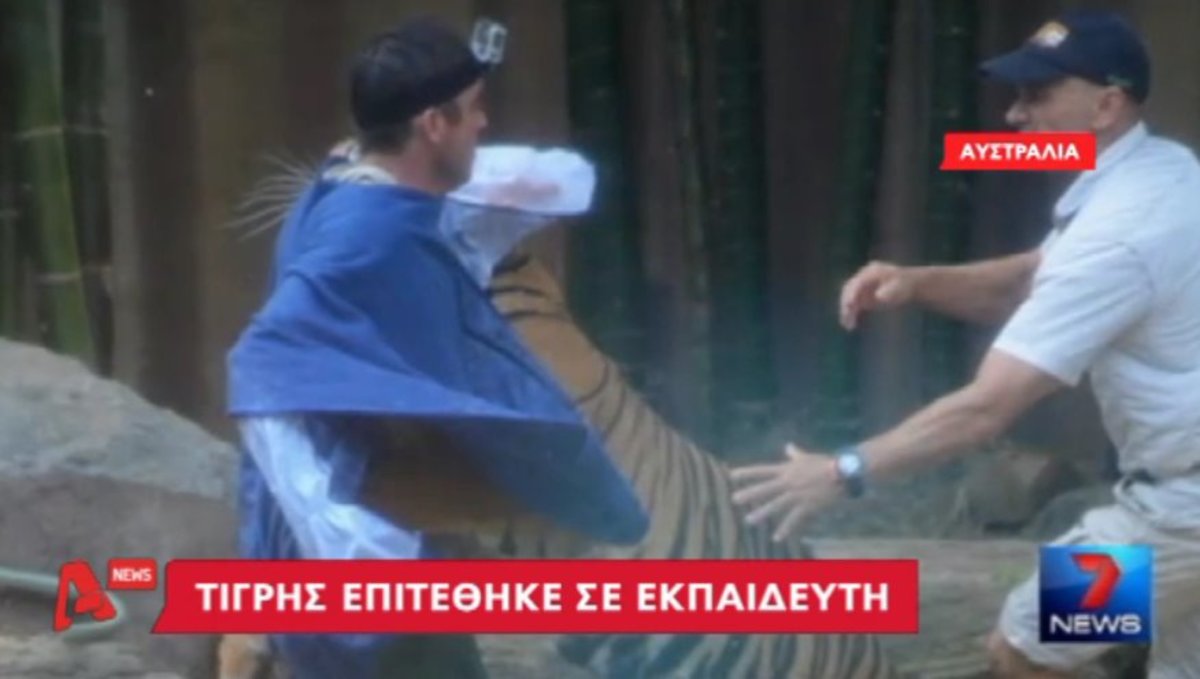 Τίγρης επιτέθηκε σε εκπαιδευτή