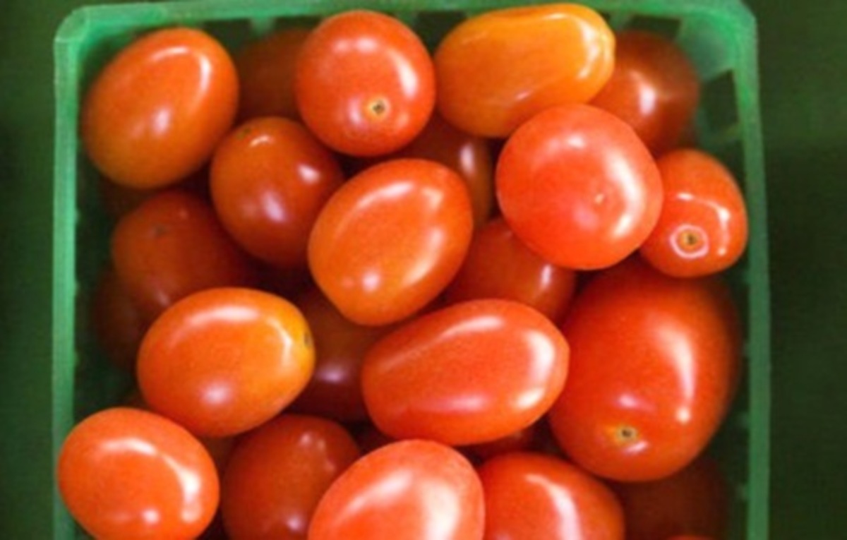 Δεσμεύτηκαν 340 τόνοι προϊόντων ντομάτας – Αναστέλλεται η λειτουργία της εταιρείας