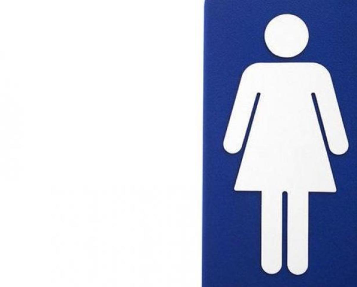 Женский туалет крупным планом. Woman restroom logo. White Day женский туалет.