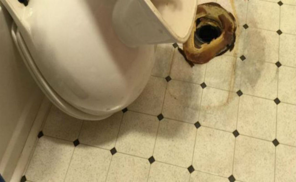 Όταν άκουσε έναν περίεργο θόρυβο από την τουαλέτα, ποτέ του δεν περίμενε ότι θα δει αυτό το πράγμα