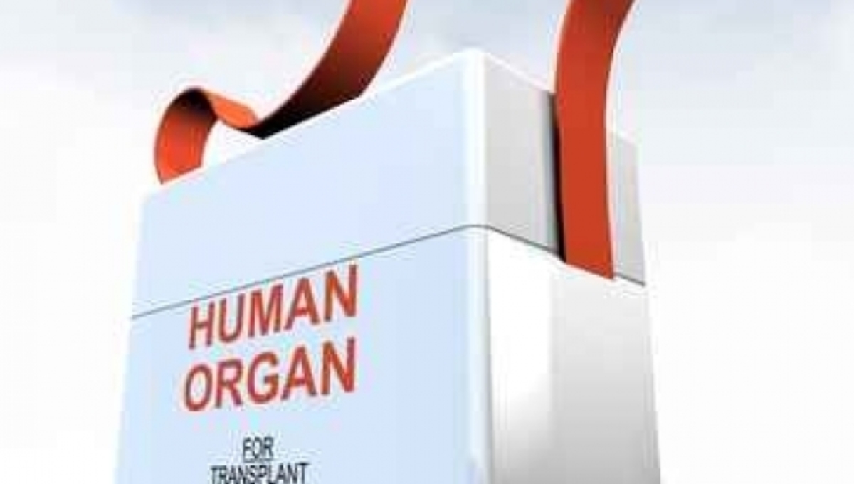 Ένας 56χρονος σώζει 4 ανθρώπους