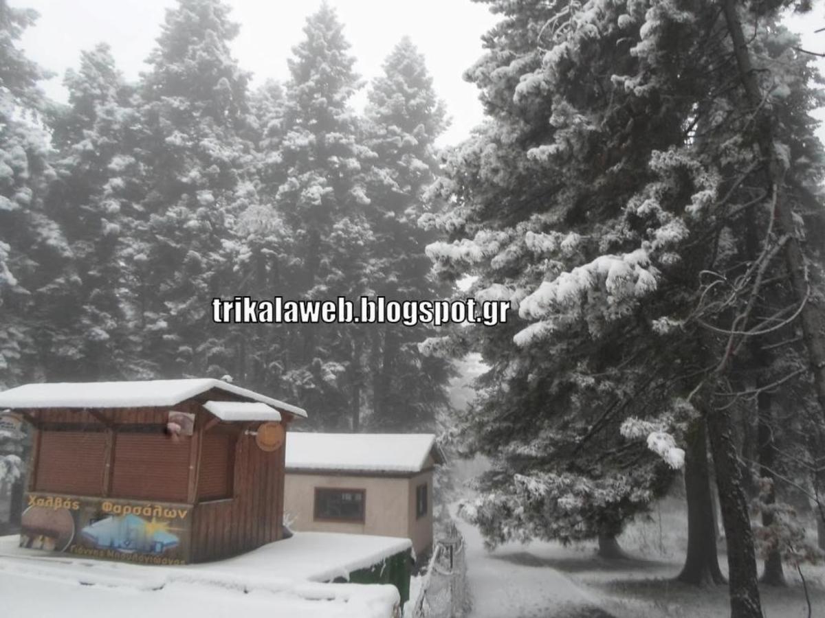 ΦΩΤΟ από το trikalaweb