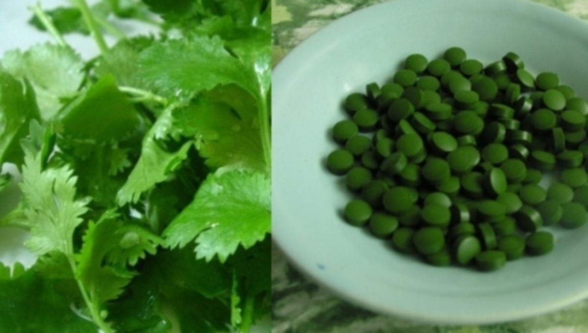 Με αυτά τα δύο μπορείτε να καθαρίσετε τον οργανισμό σας από τα επικίνδυνα βαρέα μέταλλα