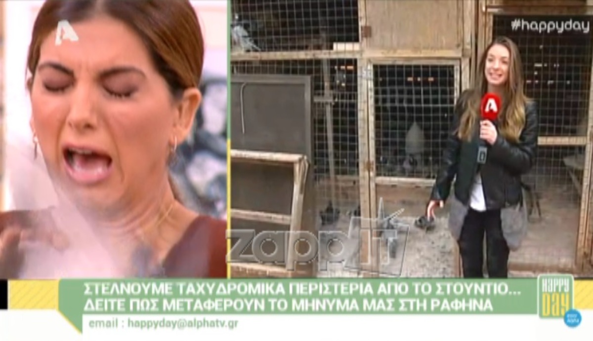 Πανικός στο Happy Day: Ο Ράμπο τρόμαξε την Τσιμτσιλή και προκάλεσε χαμό στο πλατό!