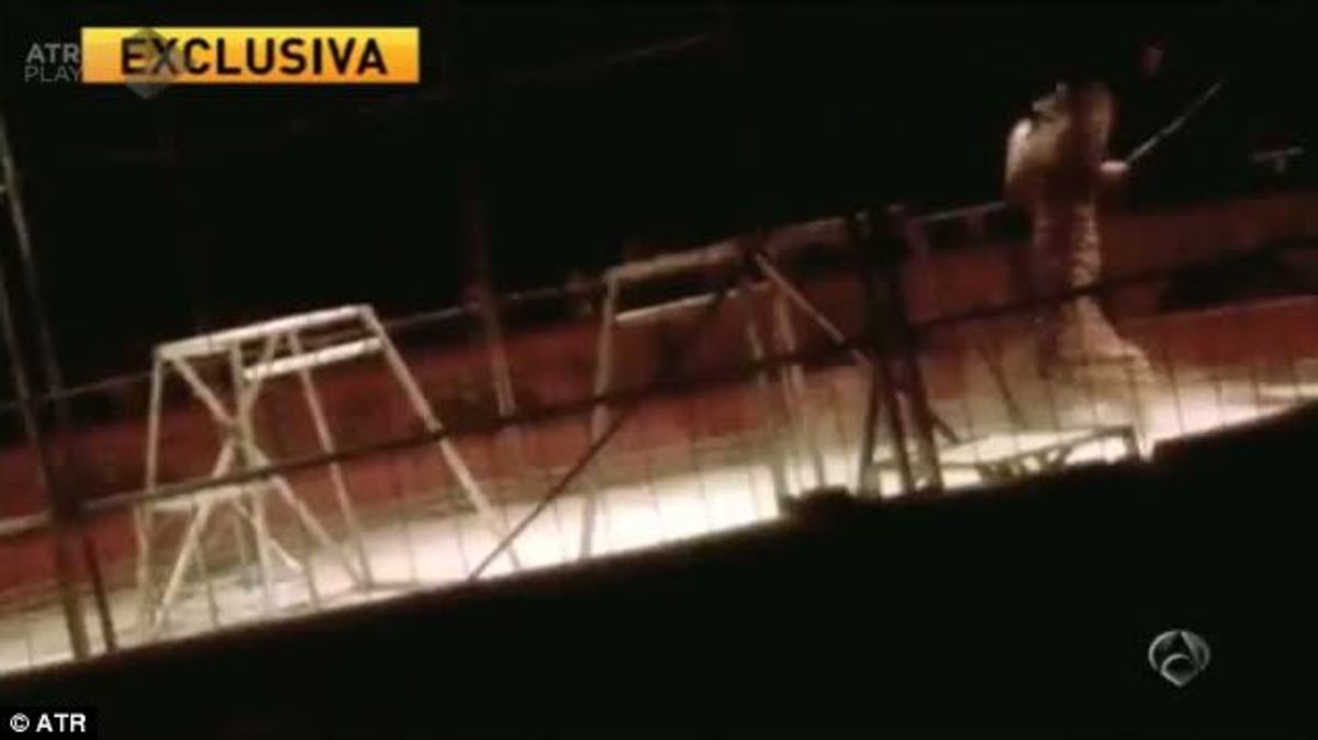 Video-σοκ από τσίρκο στην Ισπανία: Λιοντάρι επιτίθεται στον θηριοδαμαστή