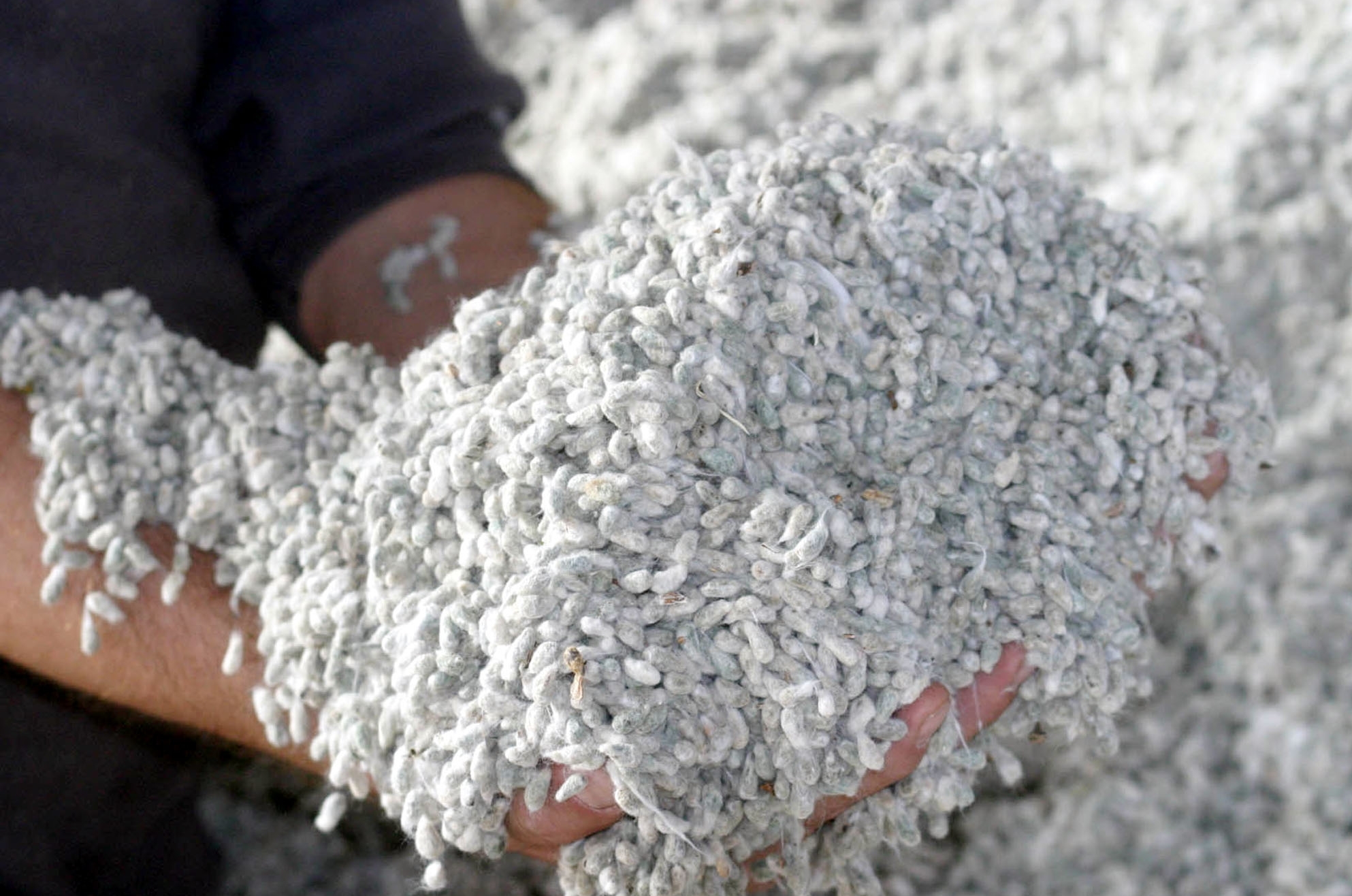 ΦΩΤΟ ΑΡΧΕΙΟΥ EUROKINISSI