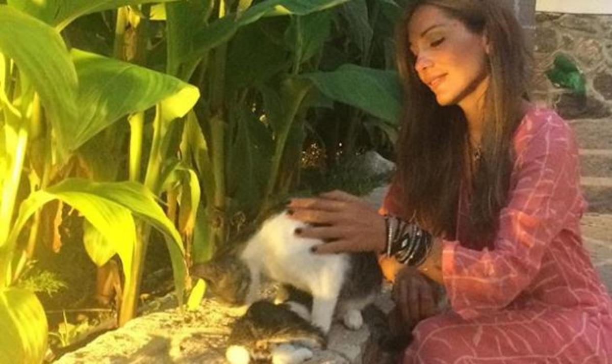 Τα καλλίγραμμα πόδια της Δέσποινας Βανδή σε πρώτο πλάνο