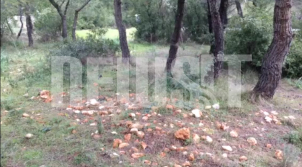 Φρικτό έγκλημα στη Βαρυμπόμπη