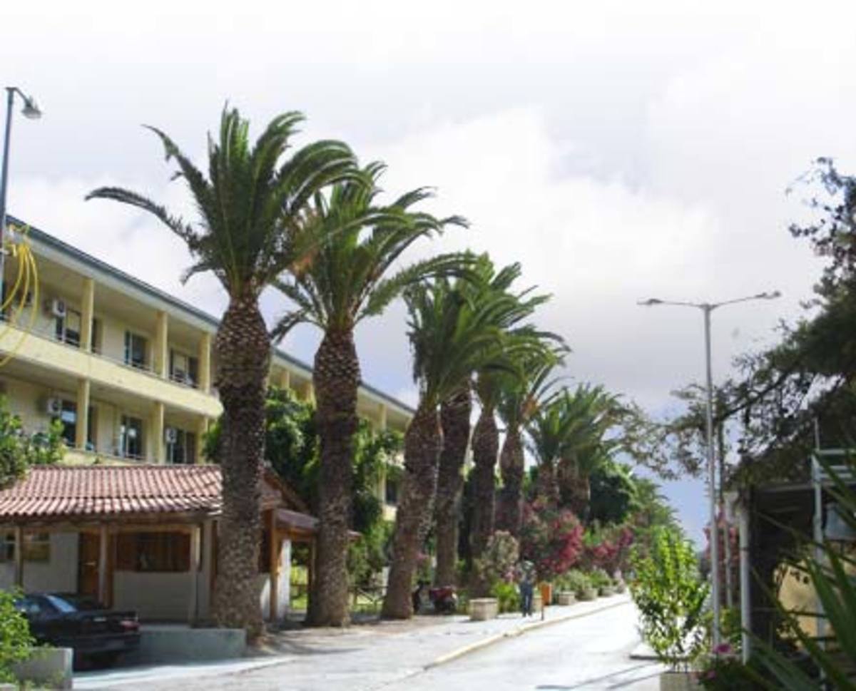 ΦΩΤΟ από cretalive.gr