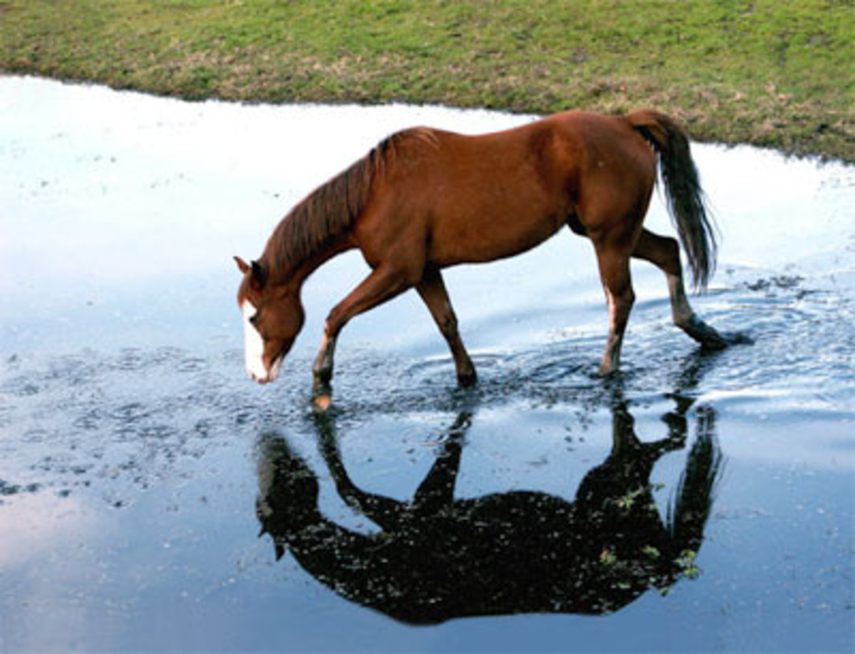 ΦΩΤΟ από e-volos.gr