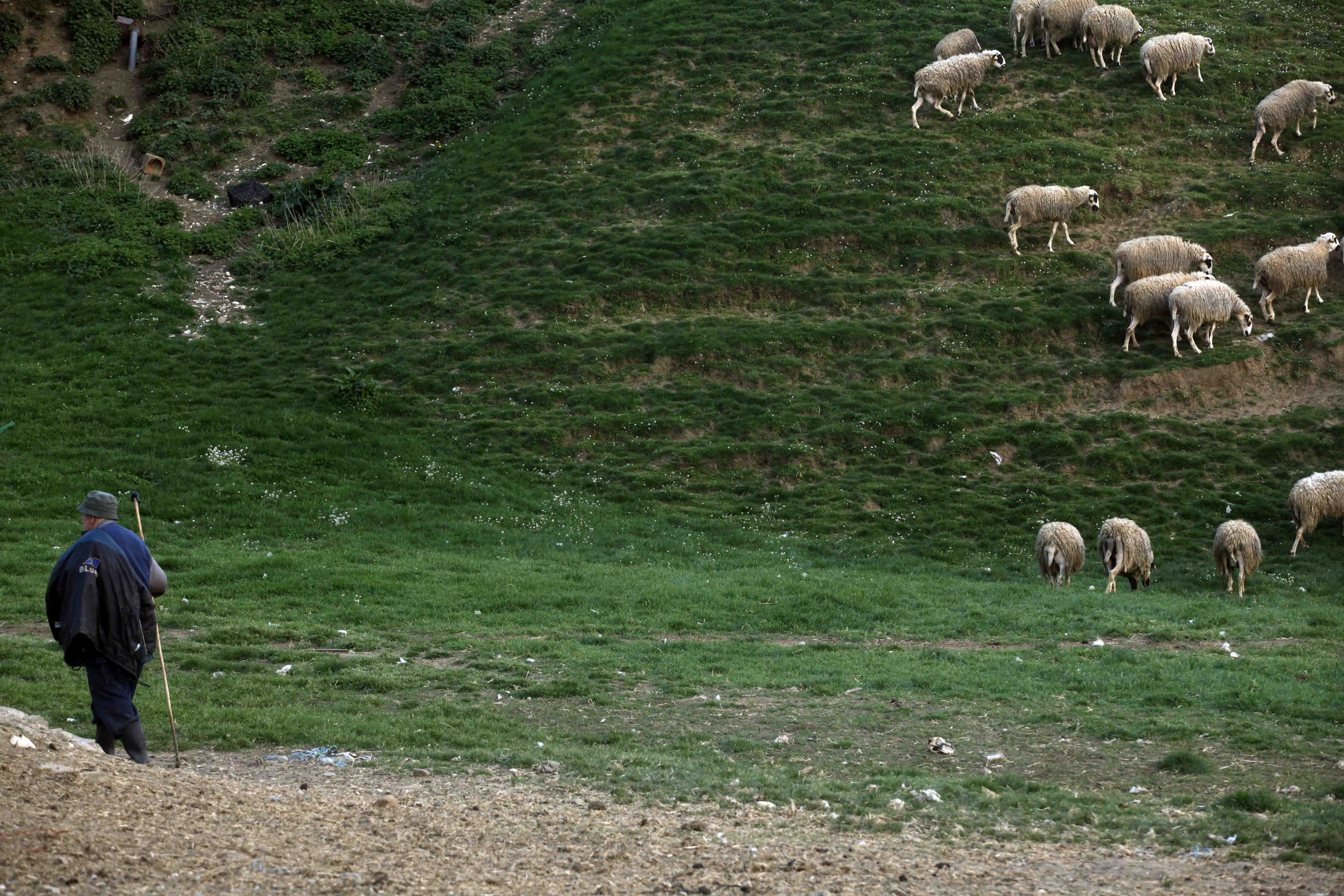 Αμφιλοχία: 40χρονος κτηνοτρόφος εντοπίστηκε νεκρός – Τραγικό τέλος στις έρευνες μετά την εξαφάνιση