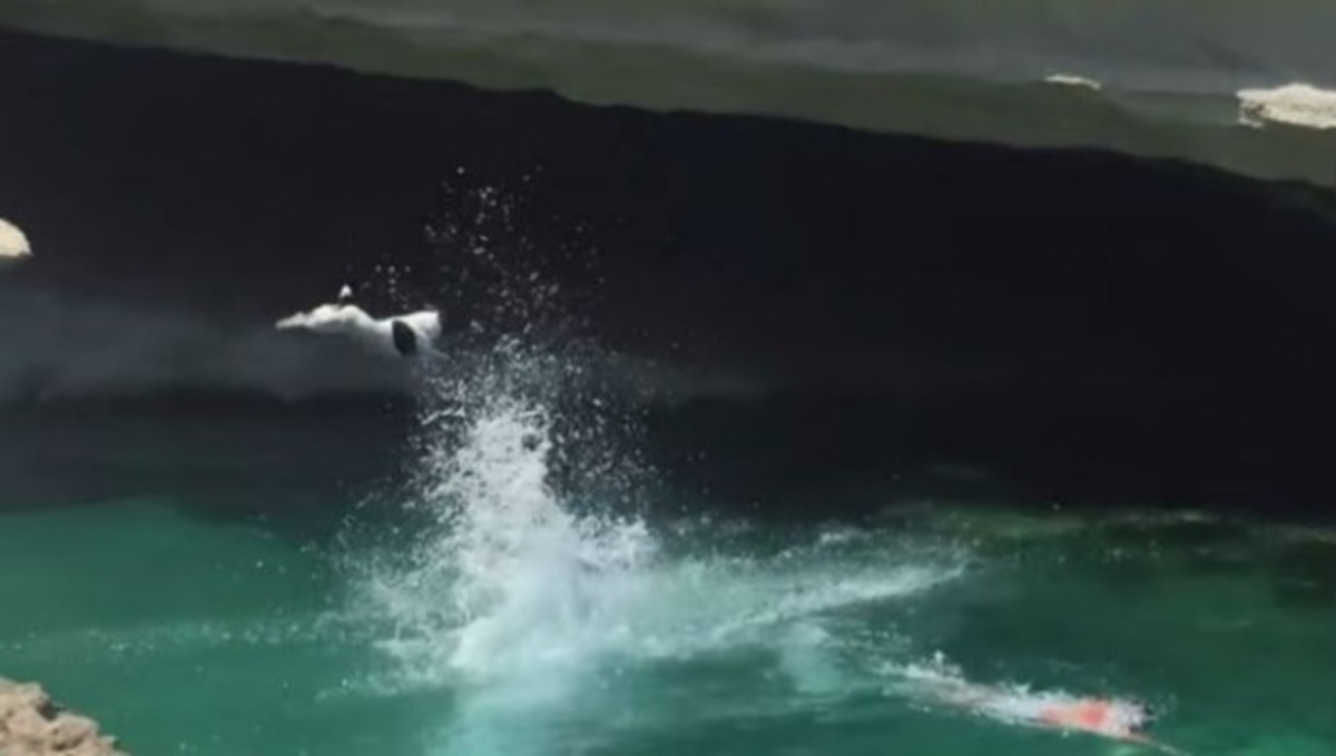 Η απίστευτη βουτιά σκύλου