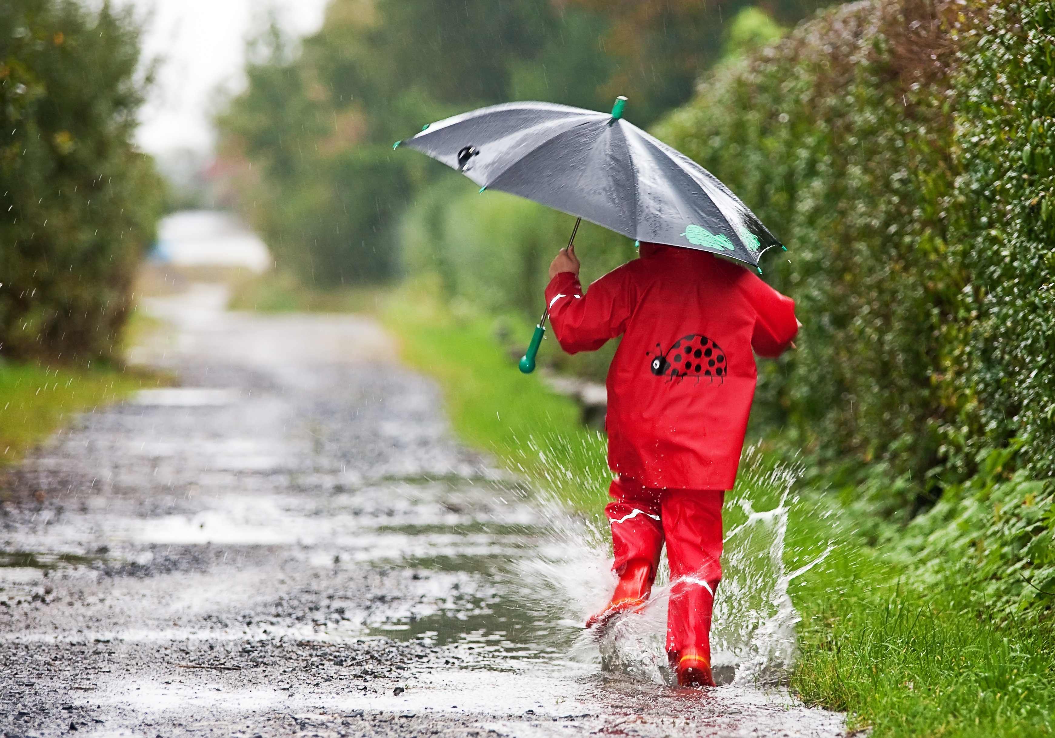 Как животные радуются дождю. Дождливое лето. Дождливый день. Зонтик для детей. Дети под зонтом.