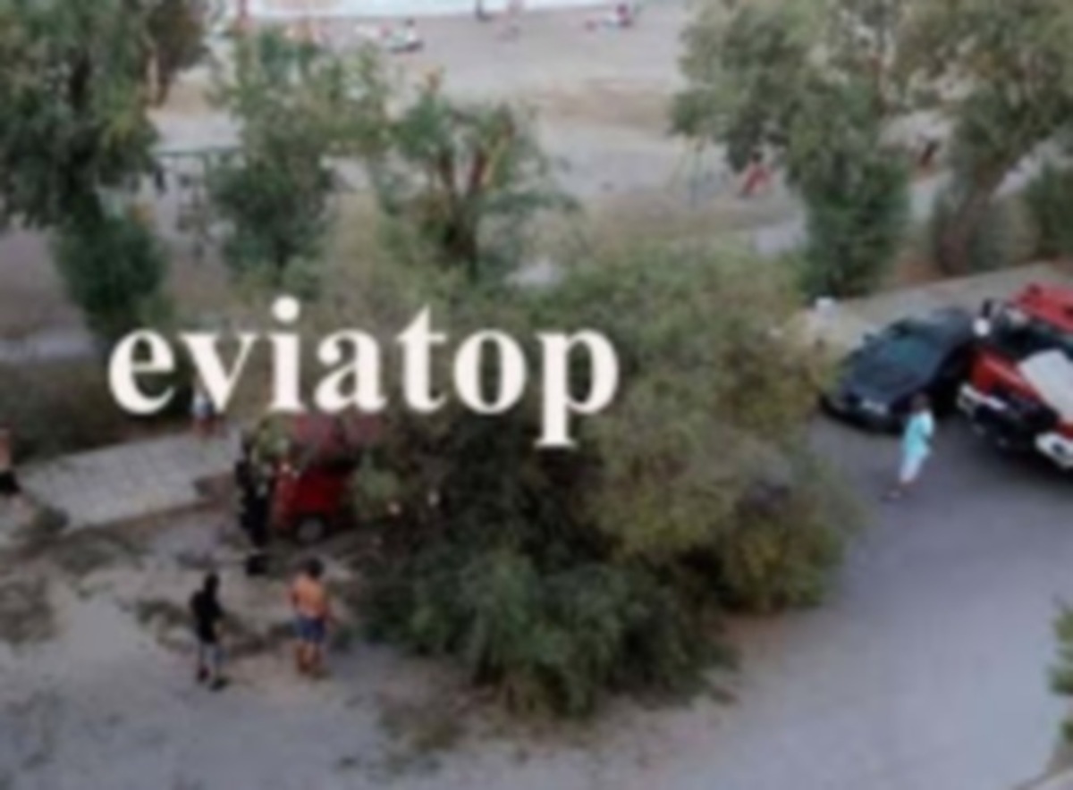 ΦΩΤΟ από eviatop