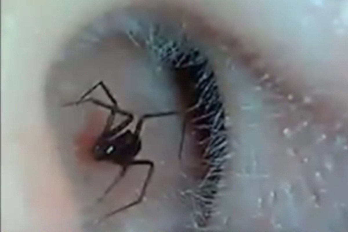 ΦΩΤΟ ΑΠΟ YOU TUBE