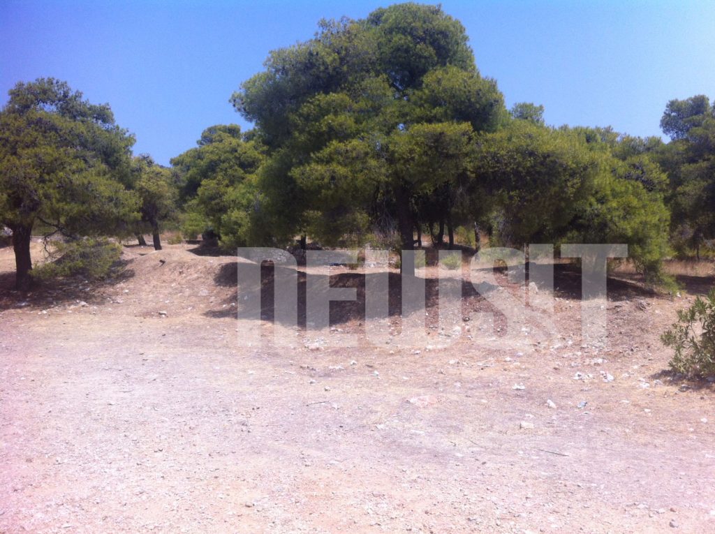 Βρέθηκε πτώμα γυναίκας κοντά στο στρατόπεδο Χαϊδαρίου