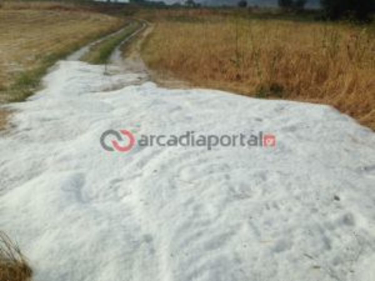 φωτό από arcadiaportal