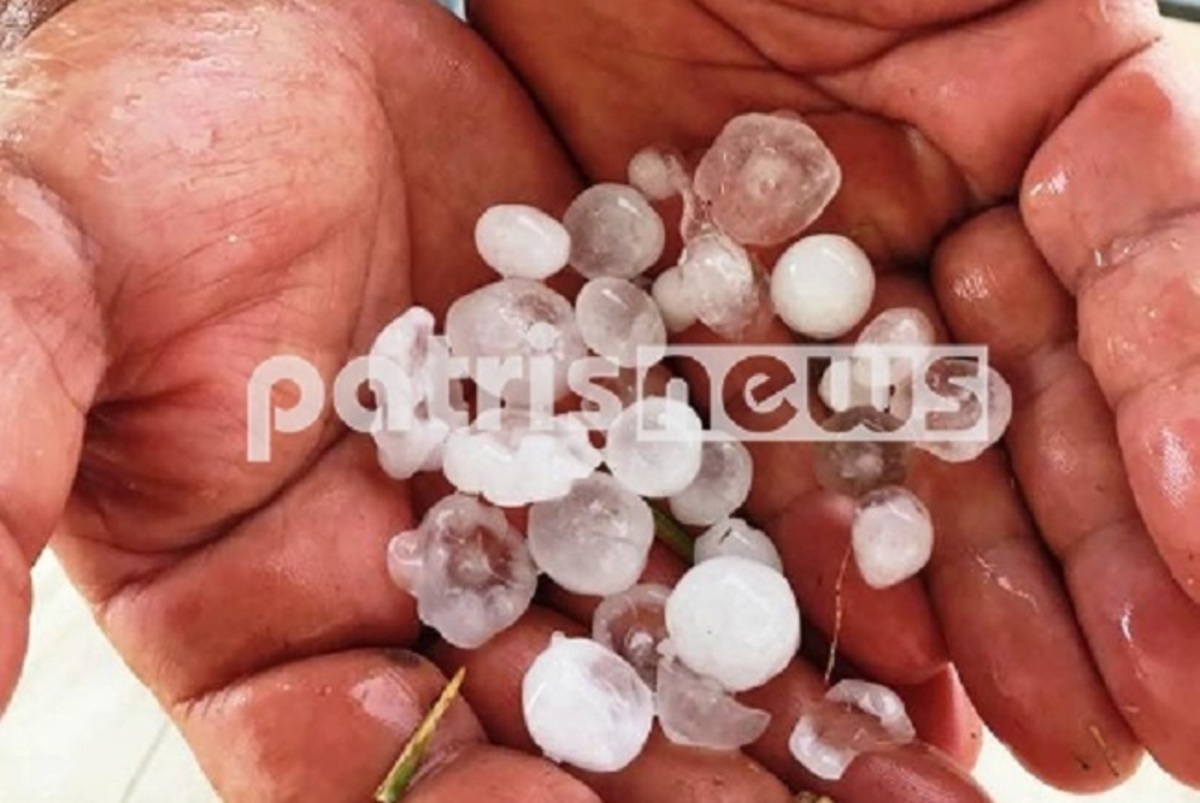 Ηλεία: Χαλάζι “φονιάς” για τις καλλιέργειες – Ανυπολόγιστη καταστροφή! ΦΩΤΟ