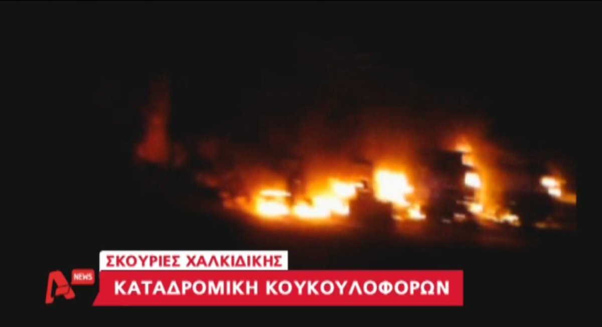 Επεισόδια στις Σκουριές