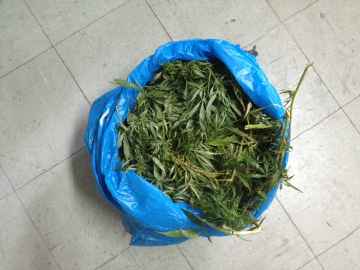 Φωτό από astynomia.gr