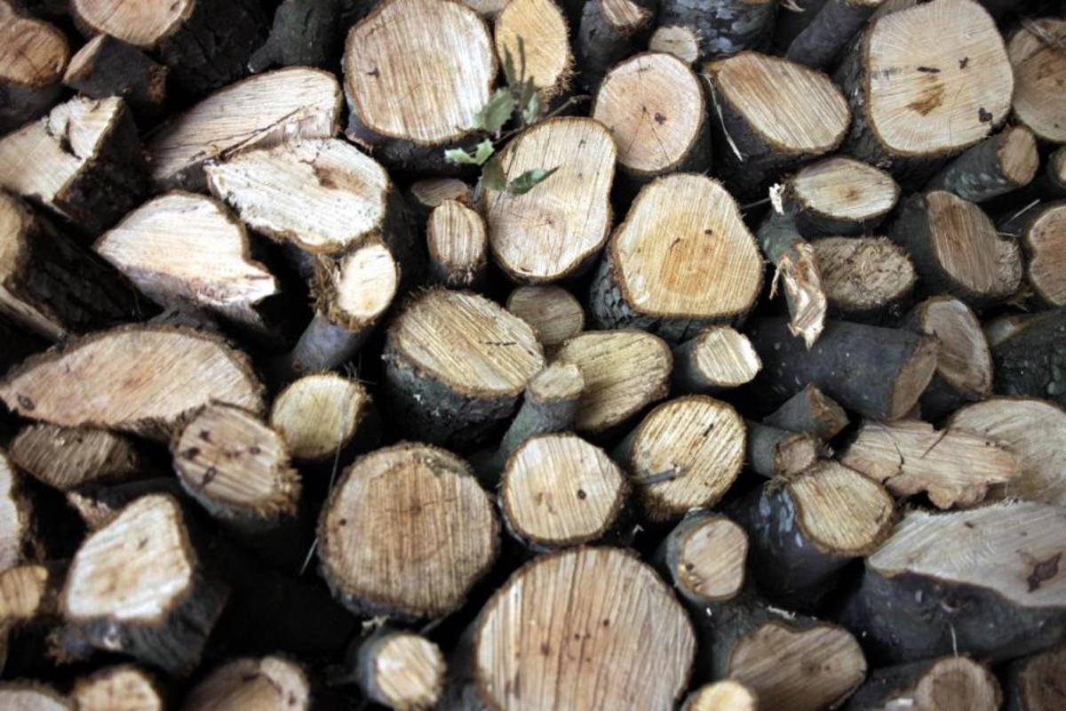 ΦΩΤΟ ΑΡΧΕΙΟΥ EUROKINISSI