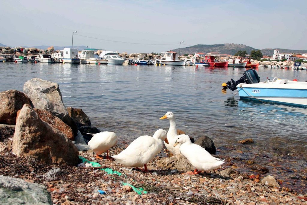 ΦΩΤΟ ΑΡΧΕΙΟΥ EUROKINISSI