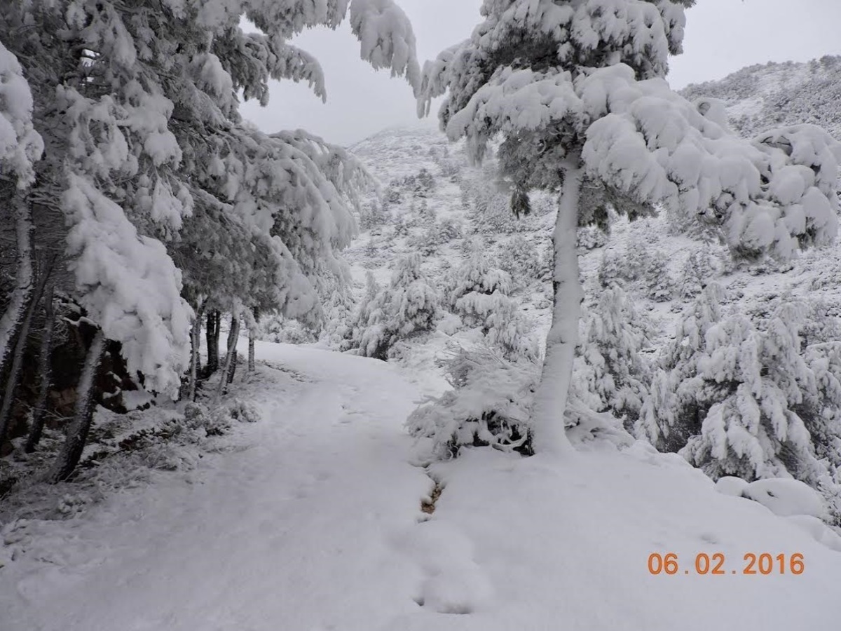 Φωτό από Weather-Greece Athens