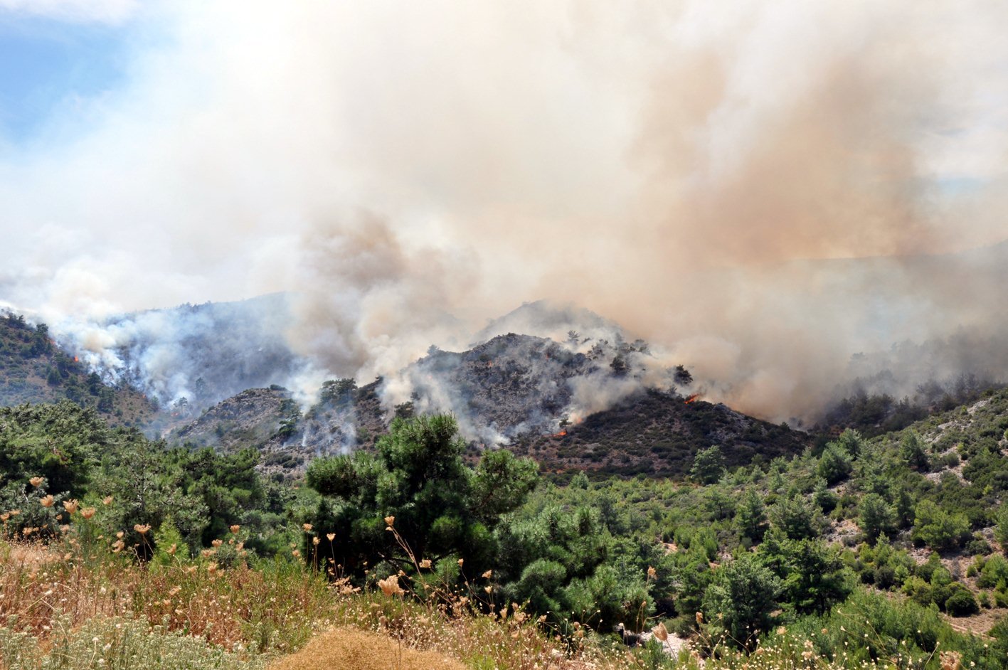 5η μέρα πύρινης κόλασης στη Χίο – Στις φλόγες παρθένο δάσος στα βόρεια του νησιού