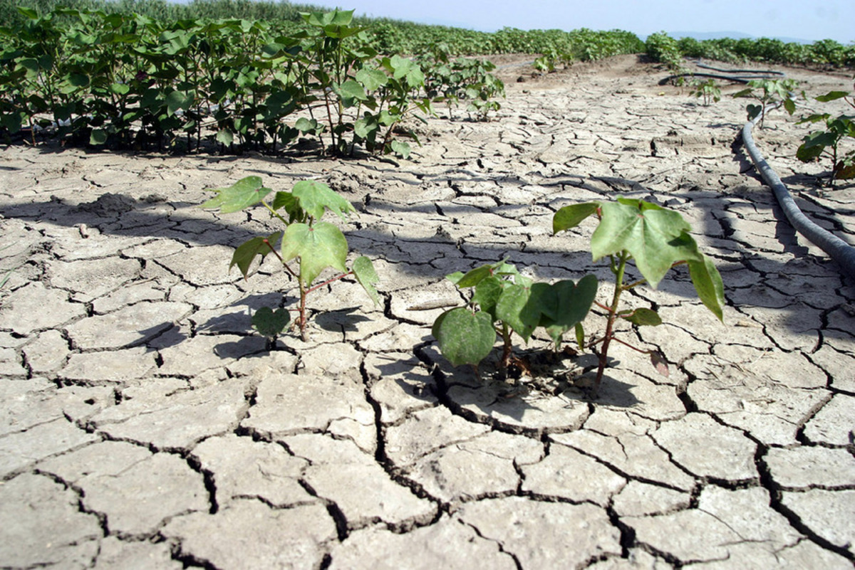 Μεσόγειος SOS: Ζούμε τη χειρότερη ξηρασία των τελευταίων 900 ετών