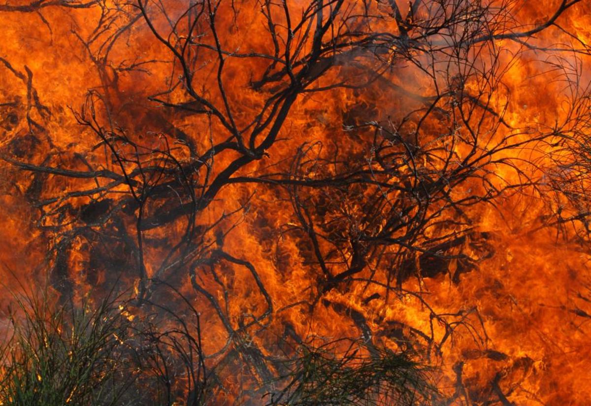 ΦΩΤΟ ΑΡΧΕΙΟΥ EUROKINISSI
